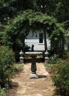 Landscaping-arbor-2015