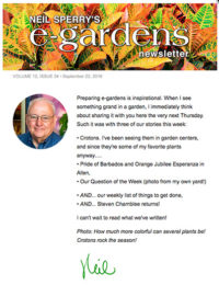 e-gardens Newsletter