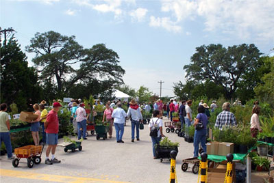 The Spring Plant Sale and Gardening Festival at Lady Bird Johnson Wildflower Center in Austin takes place the weekend of April 13-14. Shoppers get to choose from nearly 300 species of hardy Texas natives, and will also enjoy book signings and tours of the O.J. and Ann Weber Butterfly Garden. A members-only sale is scheduled for Friday, April 12. Find details in the Austin/Travis County section below. Photos courtesy of Ladybird Johnson Wildflower Center.