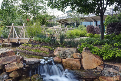This habitat area includes one of many water features. The Exploration Center is in the background.
