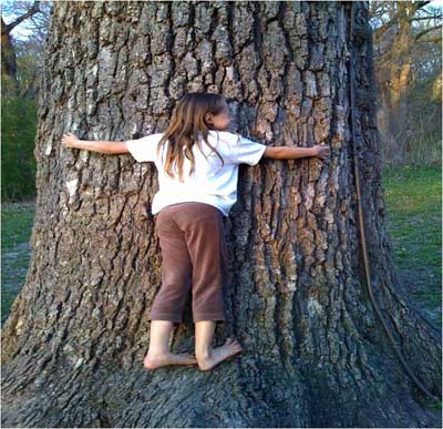 A little “tree hugger” at the Bicentennial Bur Oak in Plano’s Bob Woodruff Park.