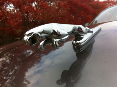 I love the way you can see our reflections in the chrome Jaguar.