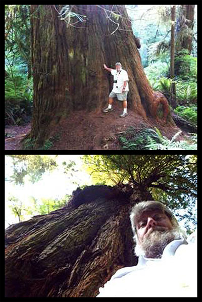 Steven communes with the giants at Redwood National Park.