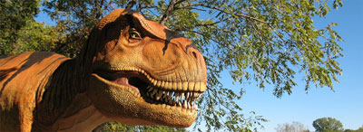 The Heard Natural Science Museum and Wildlife Sanctuary in McKinney tempts kids and grownups alike back into the wild with Dinosaurs Alive! Beginning Sept. 16, visitors to the sanctuary will encounter the 46-foot T-Rex and eight new life-size animatronic dinosaurs along the nature trails. Expect lots of photo ops, stroller-friendly paths, plus real excitement when the dinosaurs move and roar. See details at www.heardmuseum.org/dinosaurslive.