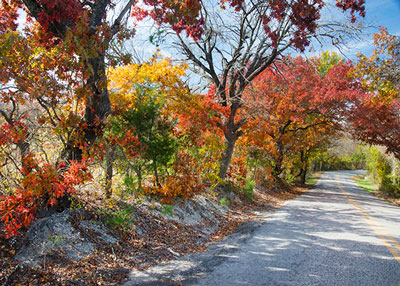 Fall foliage on the road to Neil’s house. Photos by Neil Sperry.
