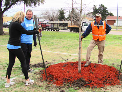 Almost-complete tree planting with staking being installed. The mulch was pulled back around the base upon completion by ITALEric the Conqueror.NOITAL Eric Larner (in the orange vest) is a Texas Master Gardener with Dallas County and a Citizen Forester.