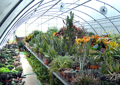 FM_Feb15_Sperry-greenhouse