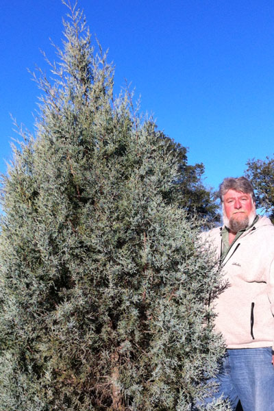 Steven, trying hard not to squint while facing the morning sun, with one of his alligator junipers.