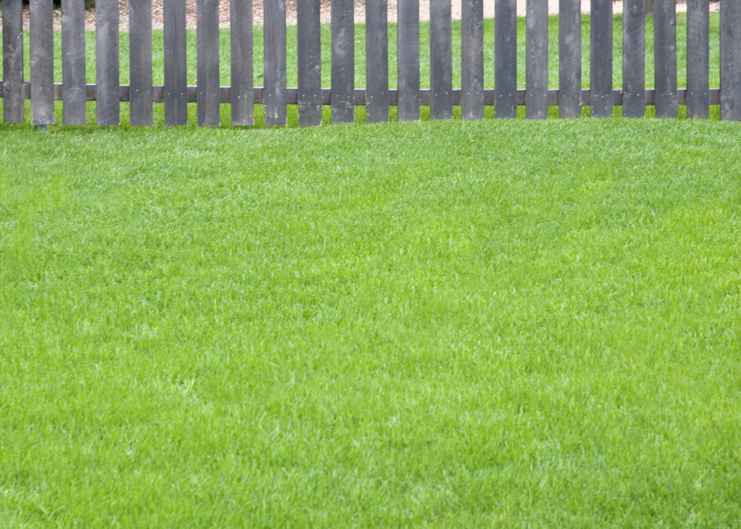 Early Spring Lawn Care - Neil Sperry's Notes