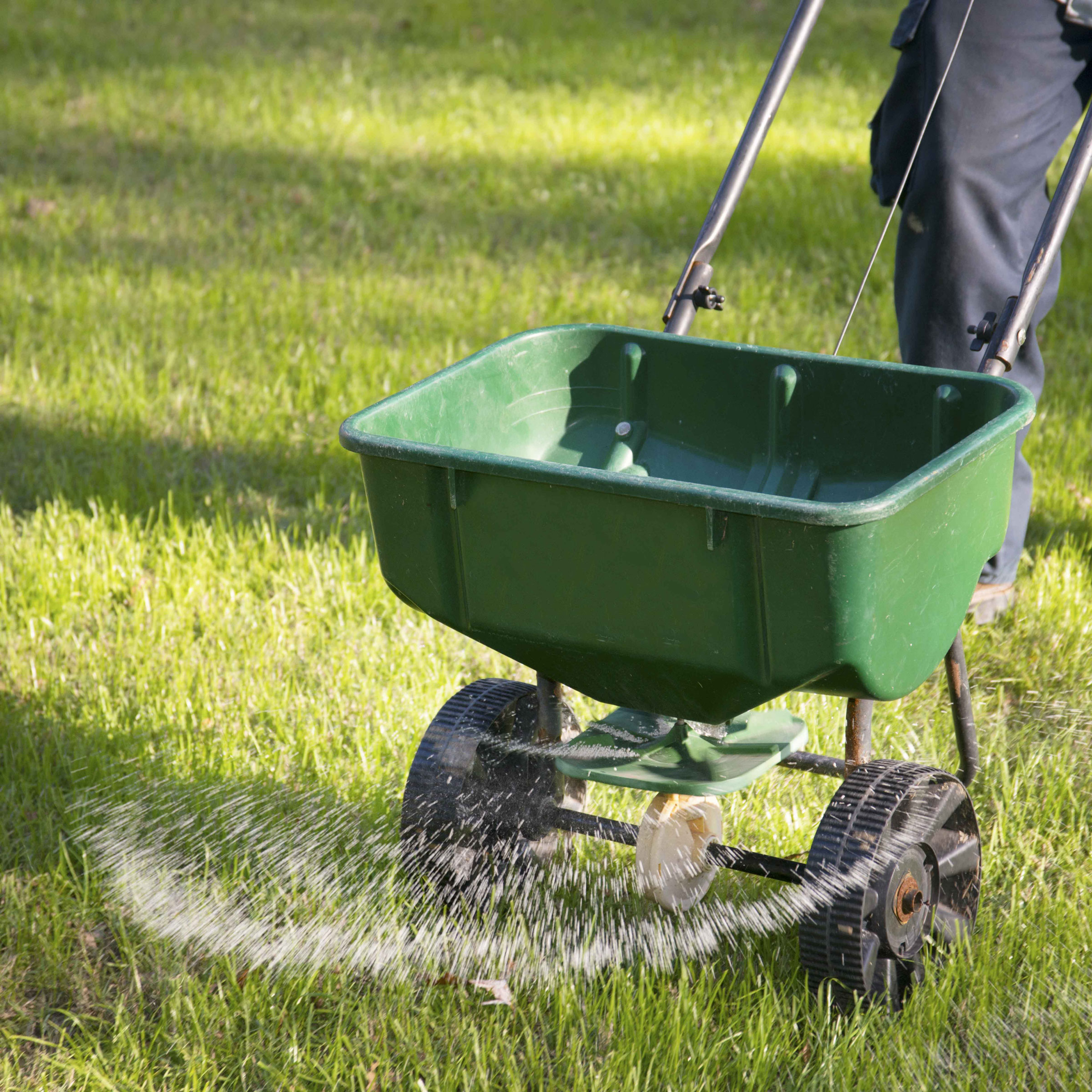 Early Spring Lawn Care - Neil Sperry's Notes