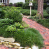 Steps to Re-landscaping Your Home