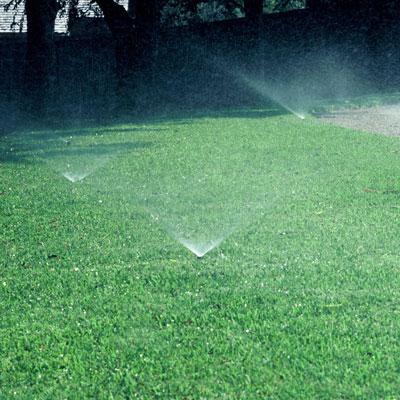 Be sure sprinklers are functioning properly. Water only as grass shows signs of need. Keep your landscape and lawn healthy, but conserve every possible drop.