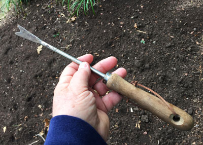 Most rank weeks have one large taproot. You can use a dandelion digger, aka asparagus knife to eliminate them. Push with one hand, weed-pull and flick with the other. Simple as that.