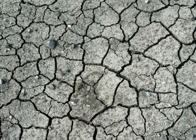 Silt accumulates along shore of lakes as water recedes.