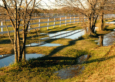 Several days after rain, water is still standing alongside this Collin County road. The soil’s water table must be quite near the soil’s surface.