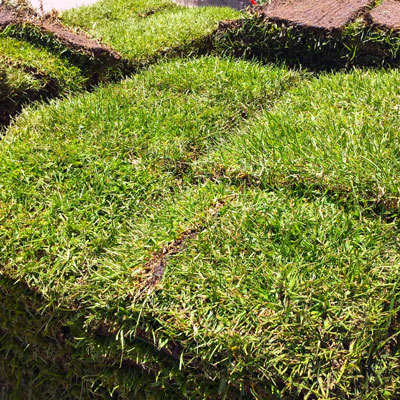 Sod from South Texas farms (support the Texas sod industry) is ready for planting.