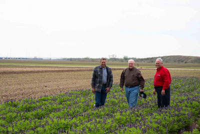 (L to R) TAMU Horticulture Dept. Head Dr. Larry Stein, Neil and Dr. Jerry Parsons, retired from the TAMU Extension Service, stand in a field of purple bluebonnets that Jerry has developed.