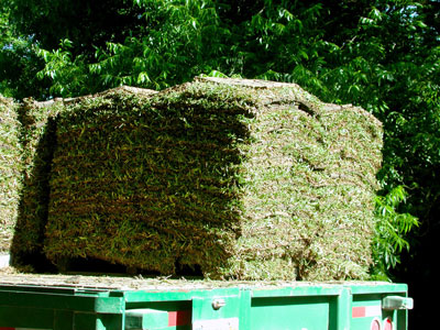 If you’re buying very much sod, have it delivered. It is very heavy.