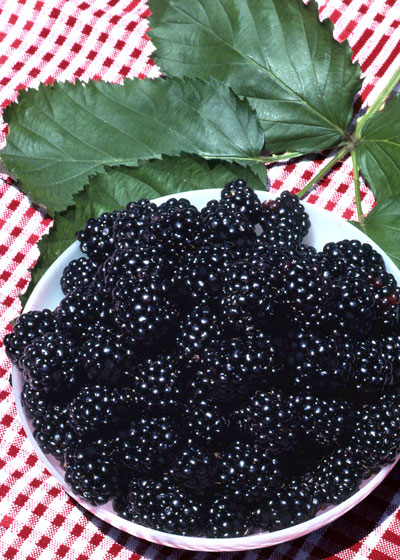 Blackberries-tabletop