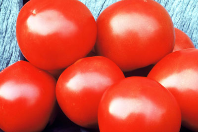 There’s nothing better than a harvest of fresh tomatoes!
