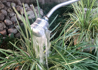 Water bubbler with the faucet turned up to full volume.