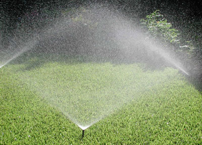 Whether you’re using pop-up sprinkler irrigation or hose-end sprinklers, water deeply, then wait until the soil dries to the touch before watering again.