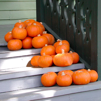 Stick with small and mid-sized pumpkin varieties for best results with fall crop.