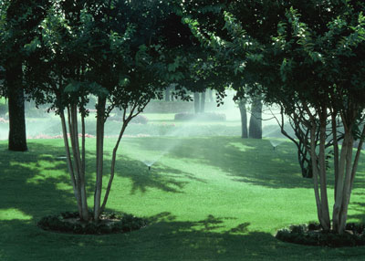 Short-burst, repeated irrigation allows all of this sloping terrain to receive uniform watering.