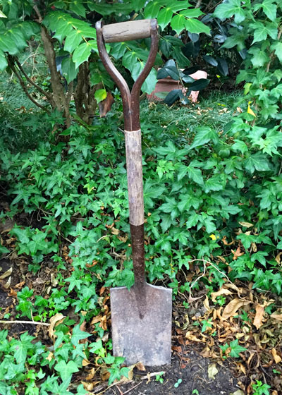 It’s a simple, short shovel, but it’s been my most useful implement for digging for the past 56 years.