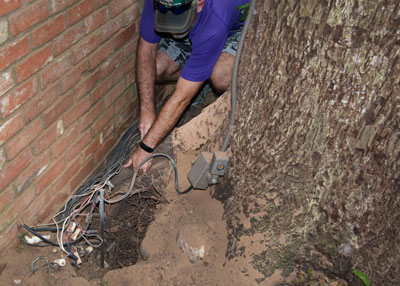 Bryan White is general manager of Arborilogical Services. He’s also the certified arborist who keeps an eye on the Sperry trees. After Trevor and Garrett had exposed the roots with an air spade (very impressive!), Bryan inspected the roots and proceeded to start the necessary cuts.