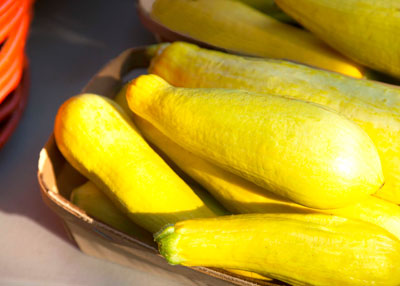 Summer squash matures quickly and grows easily in fall’s cooler weather if planted now.
