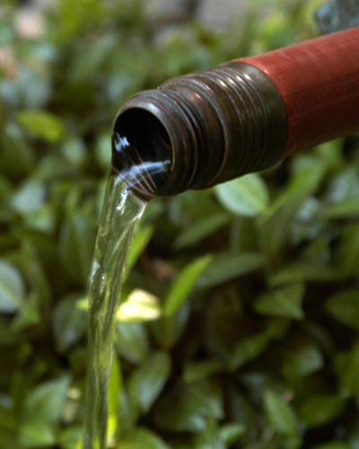 Photo: Watering in winter requires more careful observation of your plants and their soils.