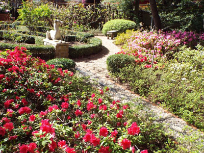 Just one of the beautiful gardens in Tyler.