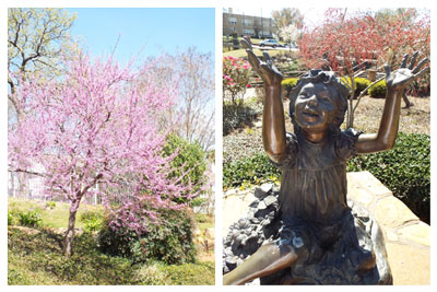 Park designers utilized many native plants in the park, including Texas redbud, left, and possumhaw holly, at right, behind the “Melissa” statue.
