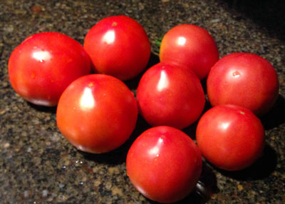 Photo: Fresh tomatoes harvested from the Sperry home garden.