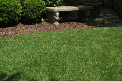 Pre-emergent weedkillers and schedule - Neil Sperry's GARDENS