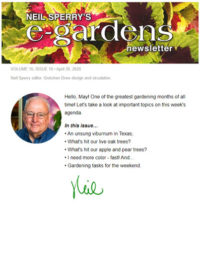 e-gardens Newsletter