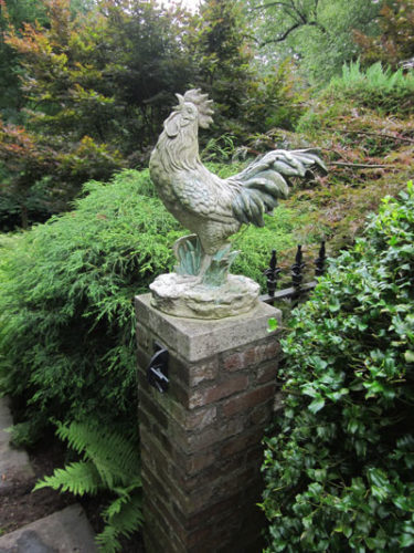 Roosters and new beginnings - Neil Sperry's GARDENS