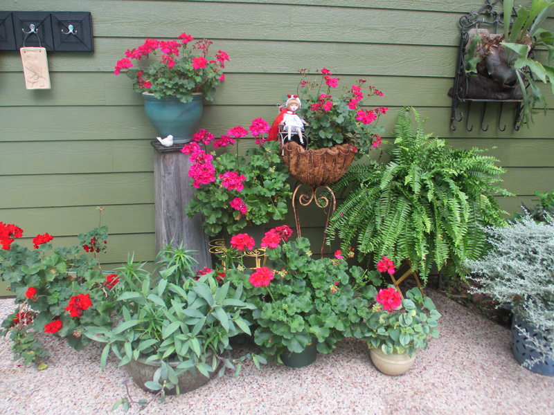 Rack’em up on a plant stand by Diane Morey Sitton - Neil Sperry's GARDENS