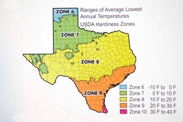 Average range. Ukraine Hardiness Zone Map.